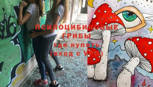 скорость Алзамай