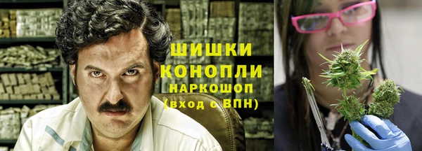 ешки Алексин