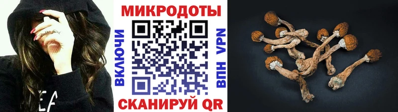 Галлюциногенные грибы Cubensis Серов