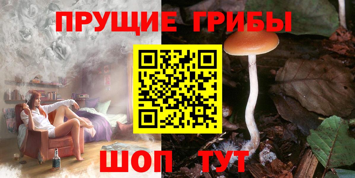 Серов  Псилоцибиновые грибы прущие грибы  Вход с VPN 