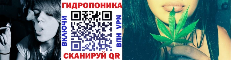 Шишки марихуана VHQ Серов